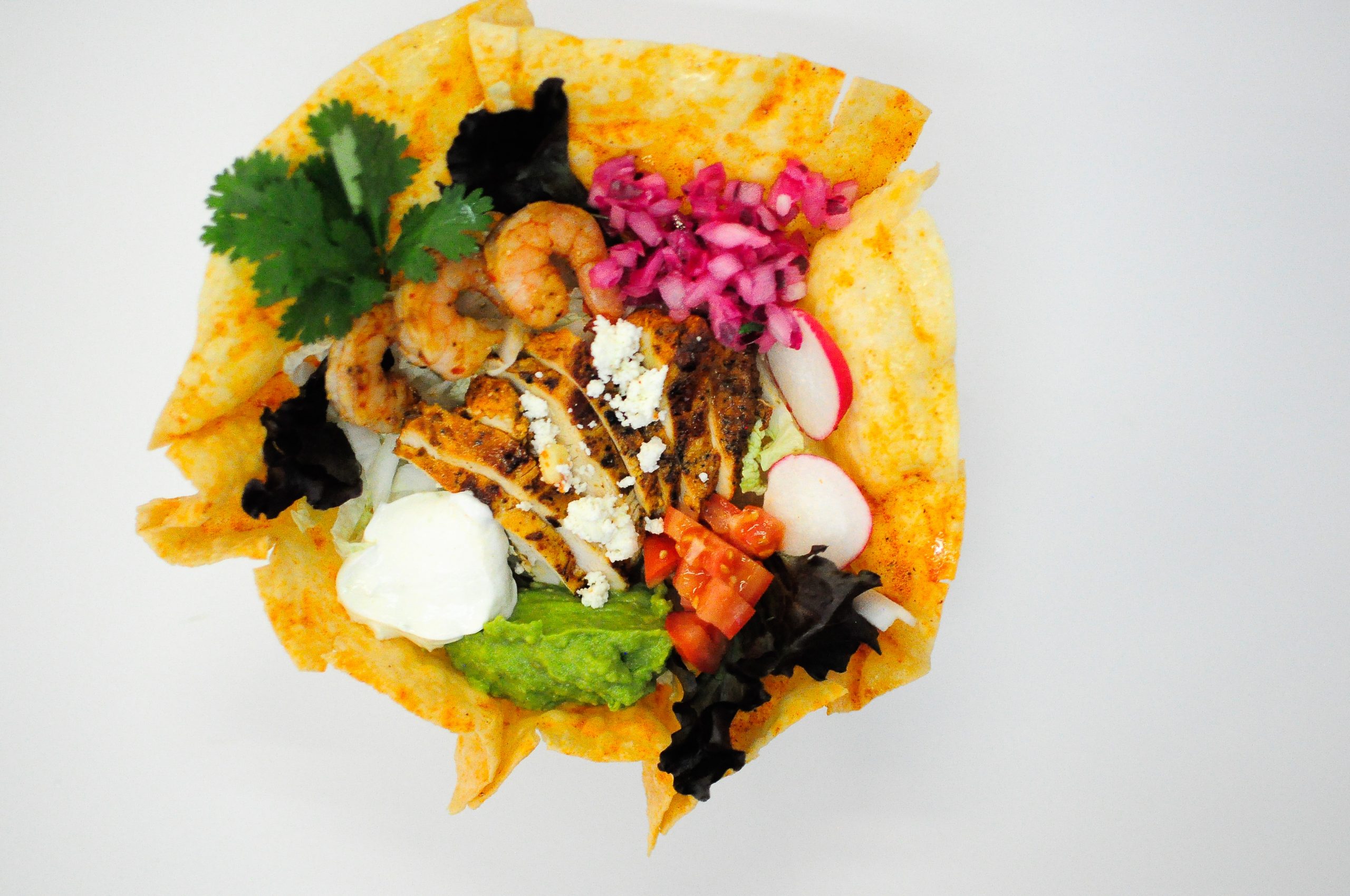 cilantros mexican 2