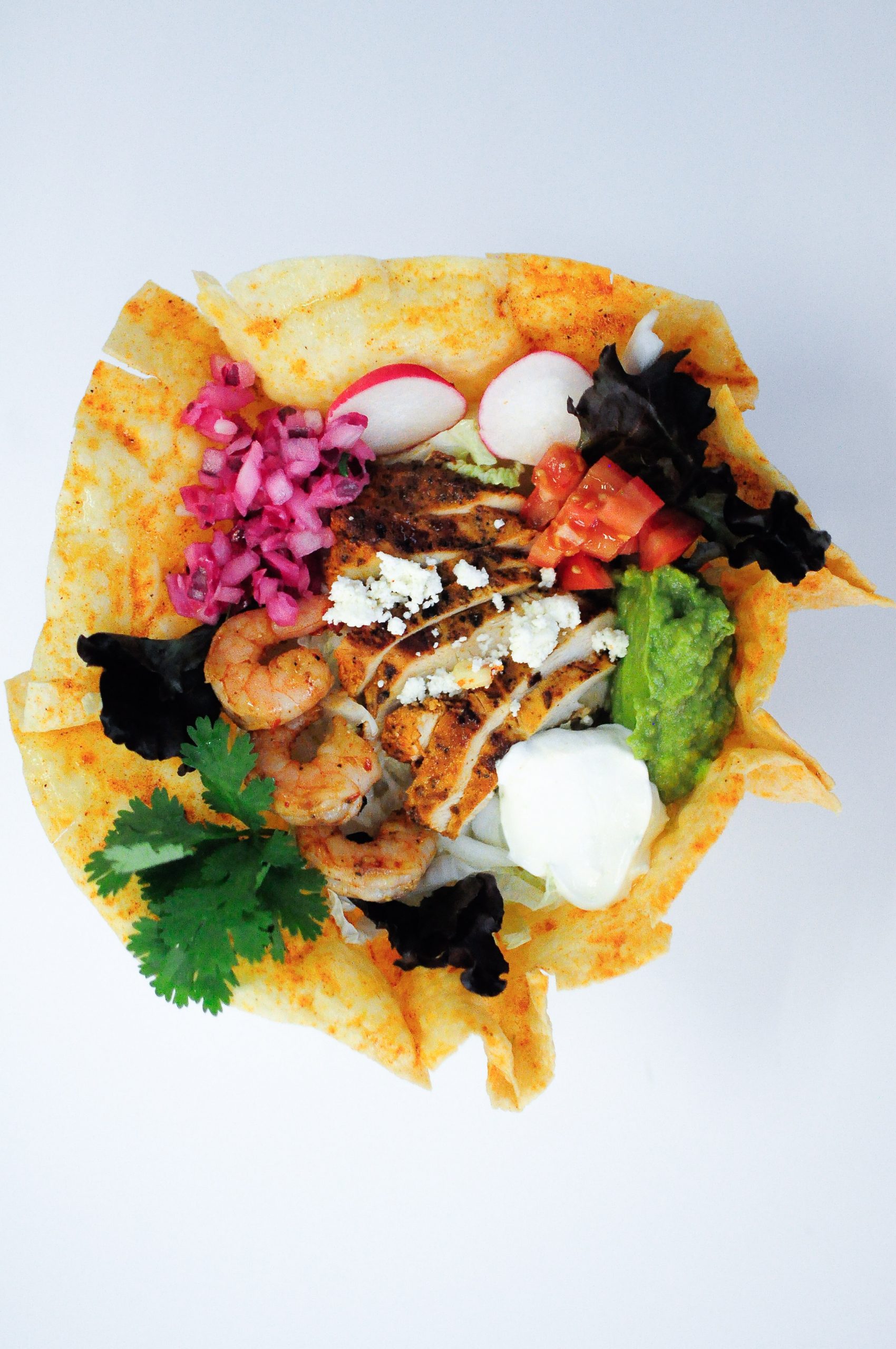 cilantros mexican 4