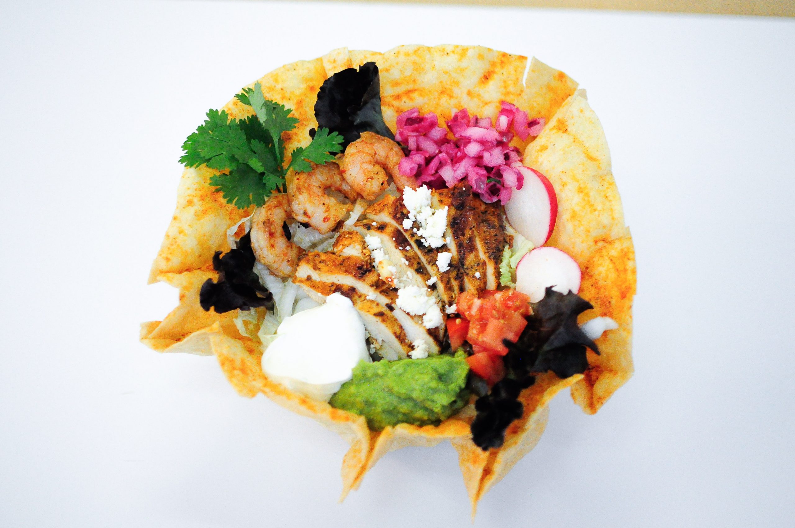 cilantros mexican 3